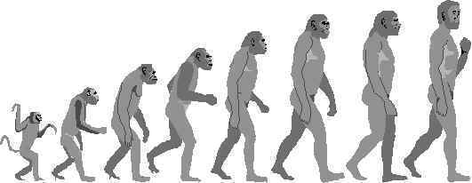 Evolution.jpg (12656 bytes)