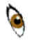 Eye.jpg (1051 bytes)