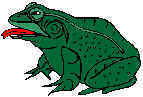 Frog2.jpg (3751 bytes)