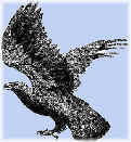 Eagle02.jpg (4231 bytes)