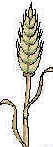 SymbolTare.jpg (3249 bytes)