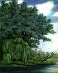 SymbolTrees.jpg (7049 bytes)