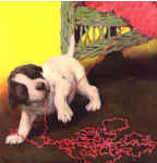 Symboldog.jpg (4197 bytes)